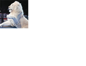 http://www.kanazawabiyori.com/contents/wp-content/uploads/2019/12/prettl200101.png