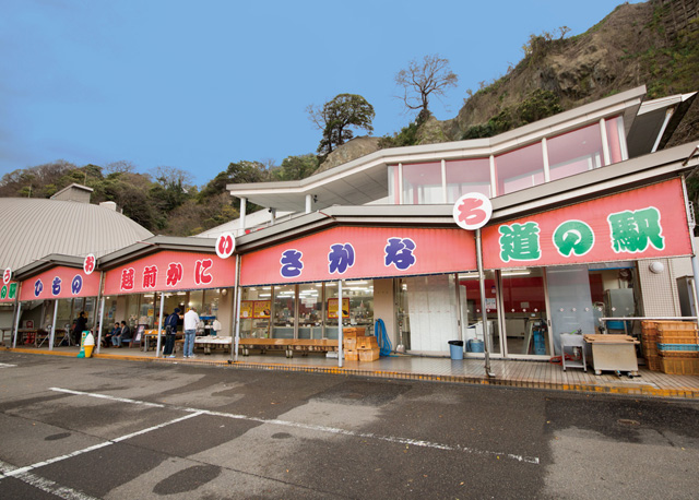 道の駅 越前