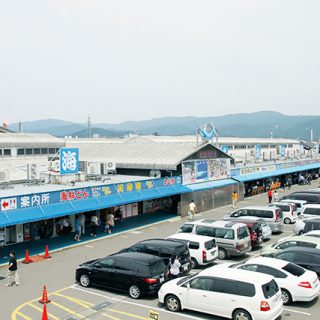 日本海さかな街ではしごめし