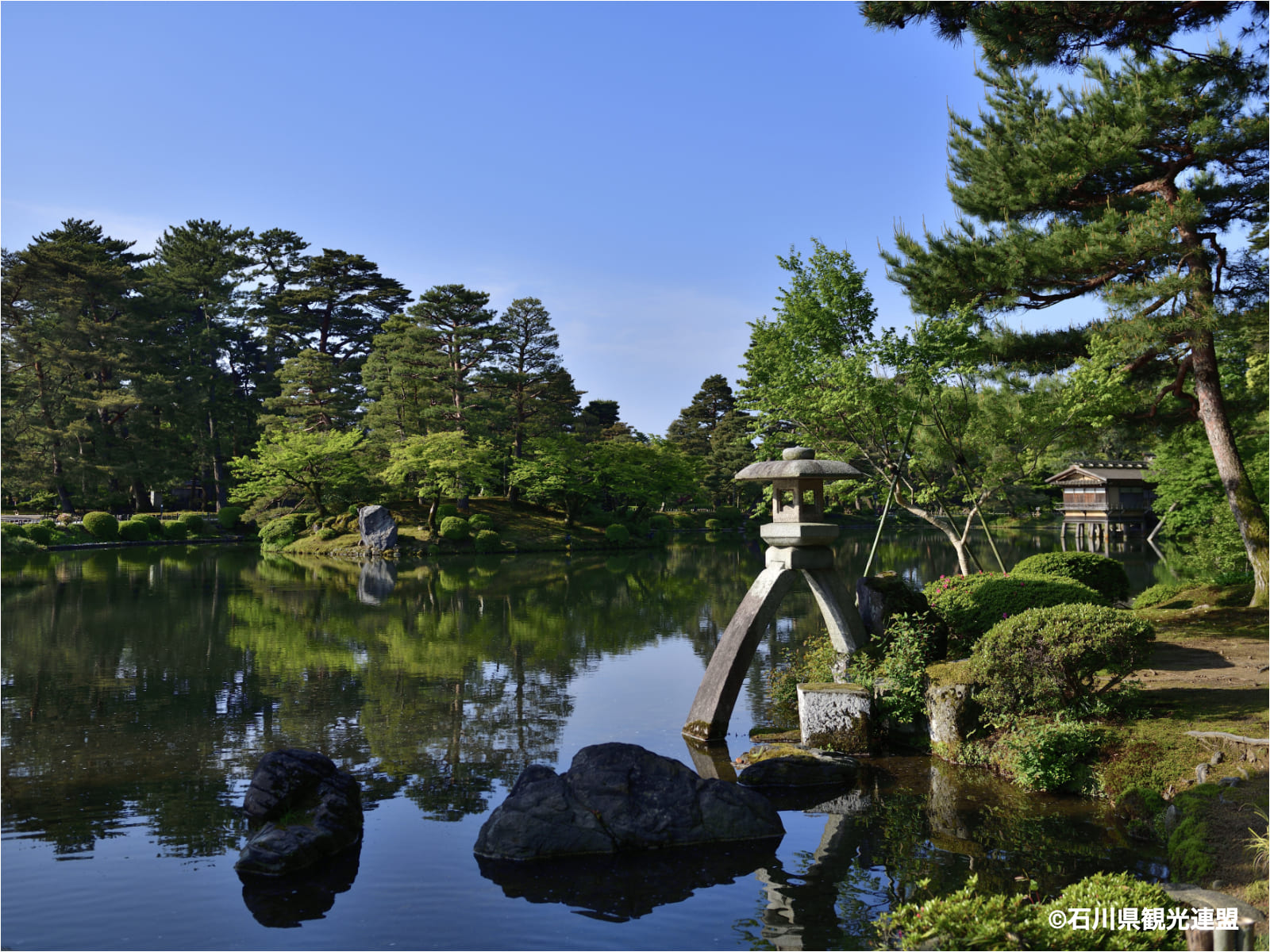 文化財指定庭園　特別名勝兼六園