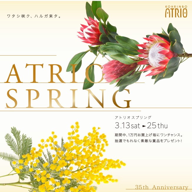 ファッションビル 【3/13～】「ATRIO SPRING」開催