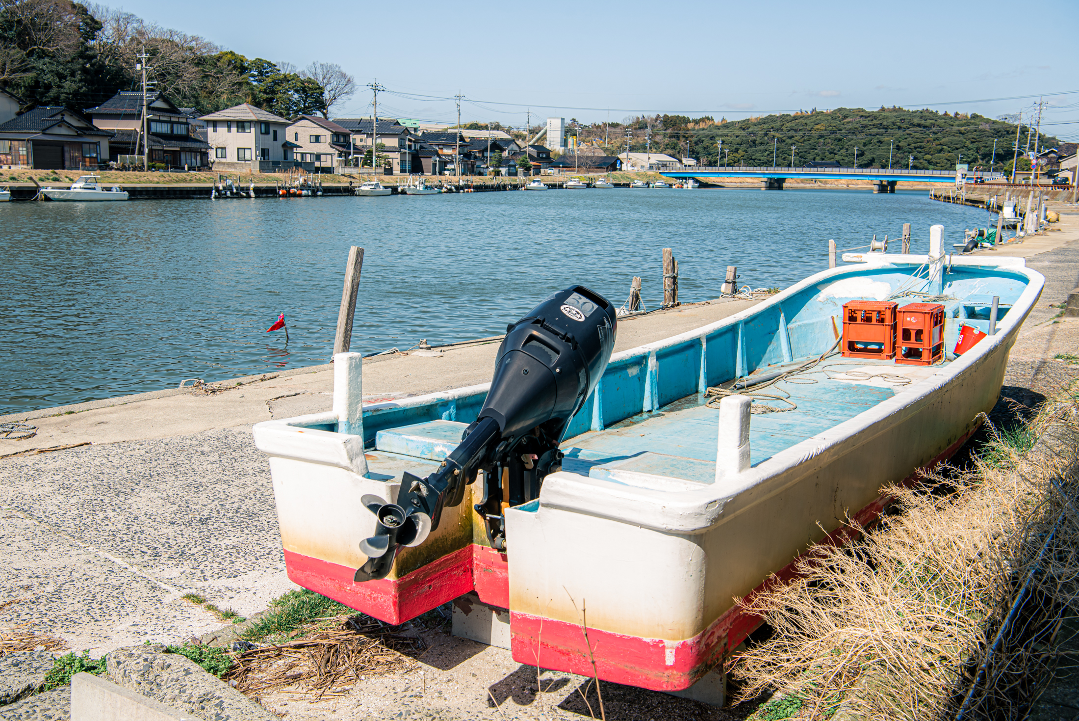 【ヨコタ礁  天然岩牡蠣】