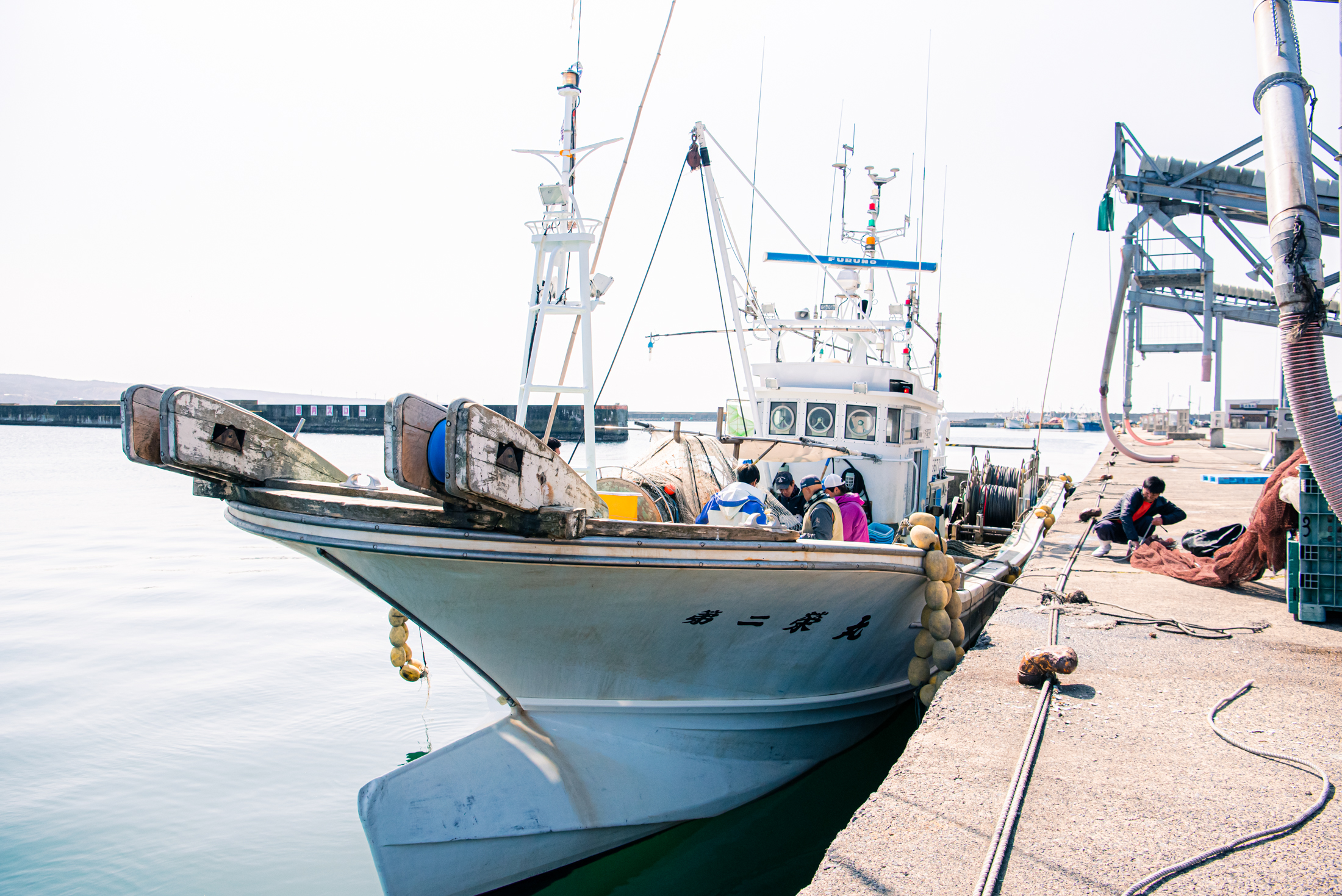 【紅ズワイガニ】