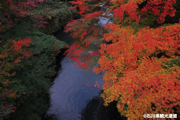 北陸の紅葉スポット特集【石川県／鶴仙渓(かくせんけい)】