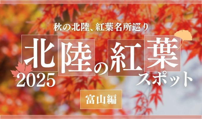 【石川・富山・福井】富山県内の紅葉名所選|2025年版