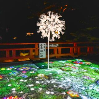 102cf57706f3d3c0caa25cdbc20be1