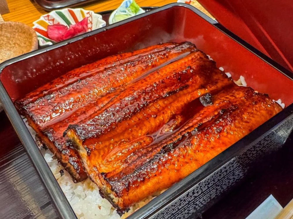 うなぎ ふじ栄 うなぎ ふじ栄