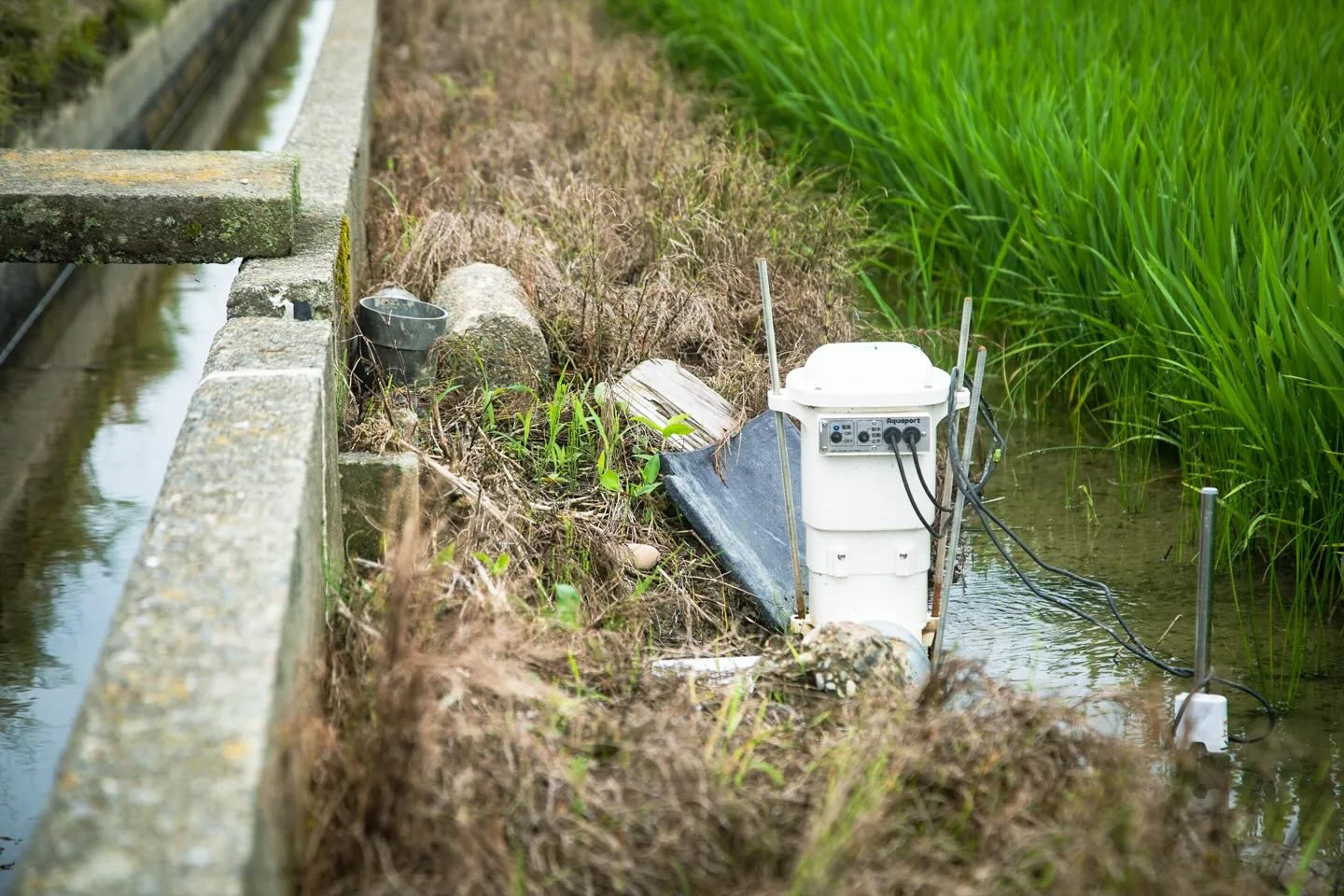 田んぼの水管理の必需品！ 水田の給水作業を自動化する「アクアポート