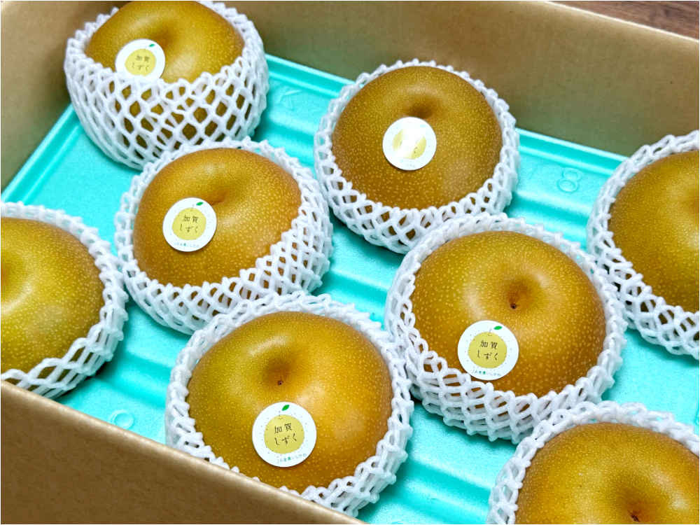 新人社員タヌ田の現場レポート-5-】一口であふれる黄金の雫。今が旬の