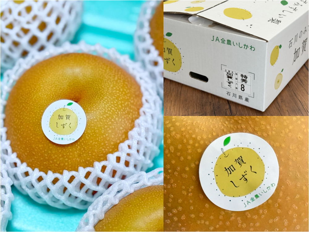 新入社員タヌ田の現場レポート-5-】一口であふれる黄金の雫。今が旬の
