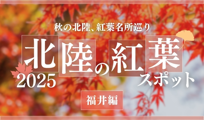 【石川・富山・福井】福井県内の紅葉スポット|2025年版