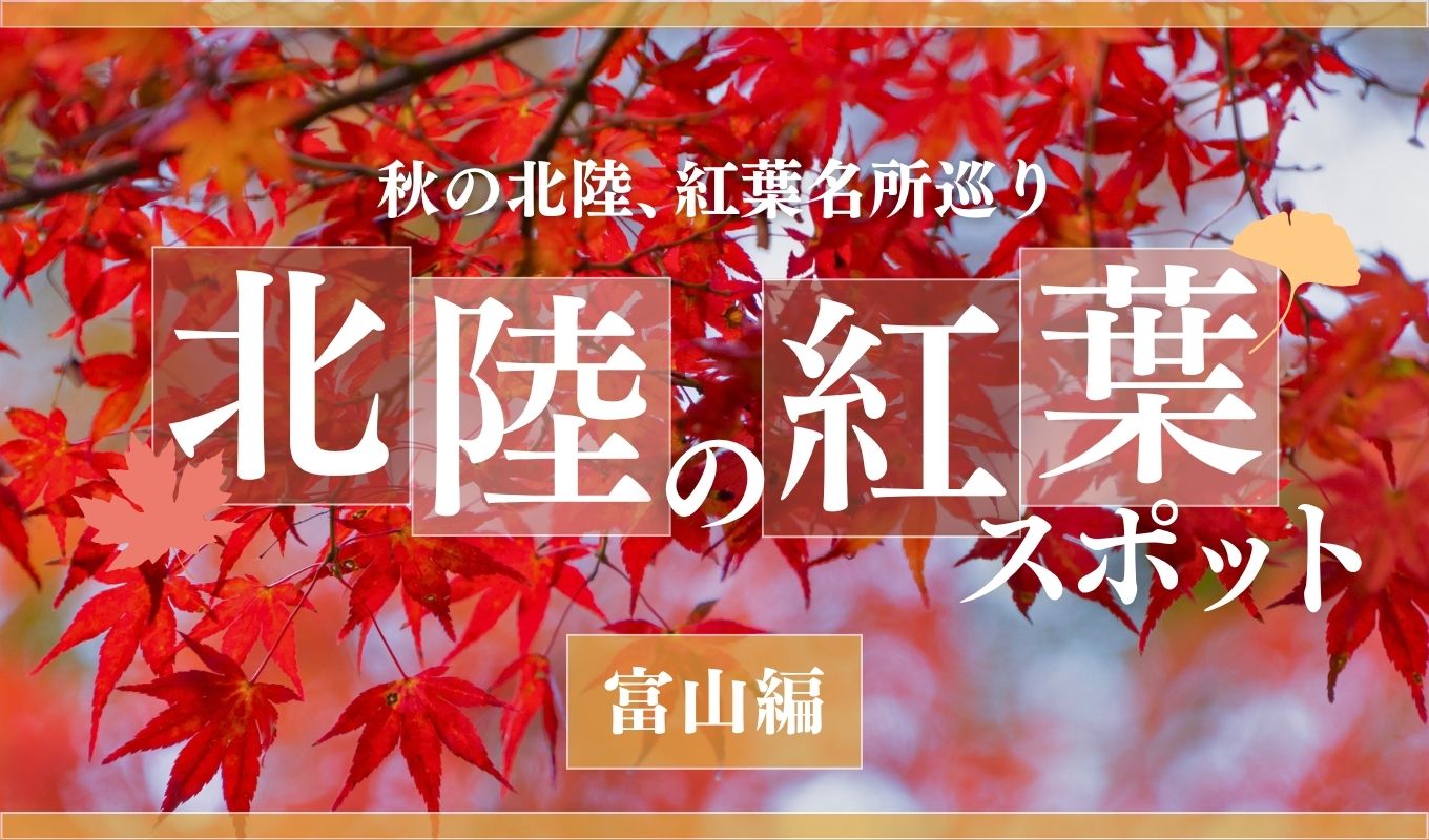 【2026年】富山県の紅葉名所5選｜立山・黒部峡谷トロッコ・神通峡ドライブの見ごろまとめ