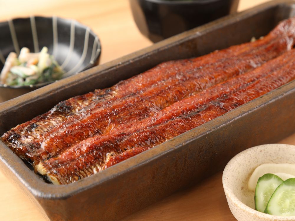 うなぎ四代目菊川 クロスゲート金沢店<br />【冊子「KANAZAWA BIYORI vol.4」掲載】