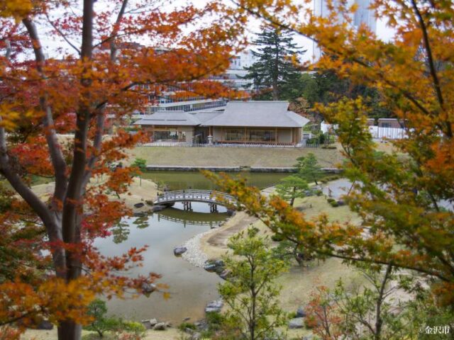 玉泉院丸庭園
