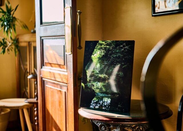 吉尾大輔 企画展　Salon de Photo 「vert foncé  深緑」 ～サロン・ド・シェヌウ　小さなフォトサロン～