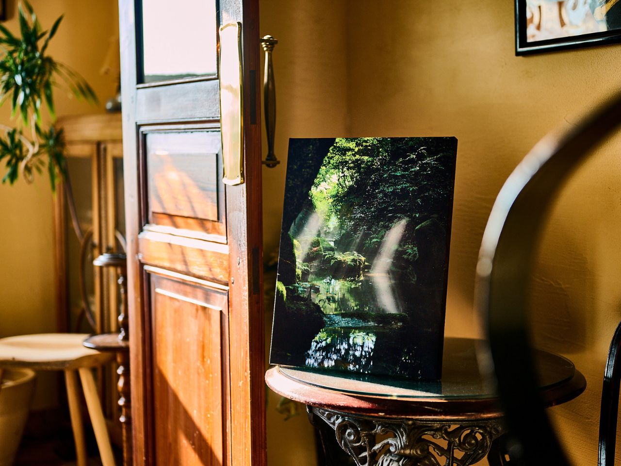 吉尾大輔 企画展　Salon de Photo 「vert foncé  深緑」 ～サロン・ド・シェヌウ　小さなフォトサロン～