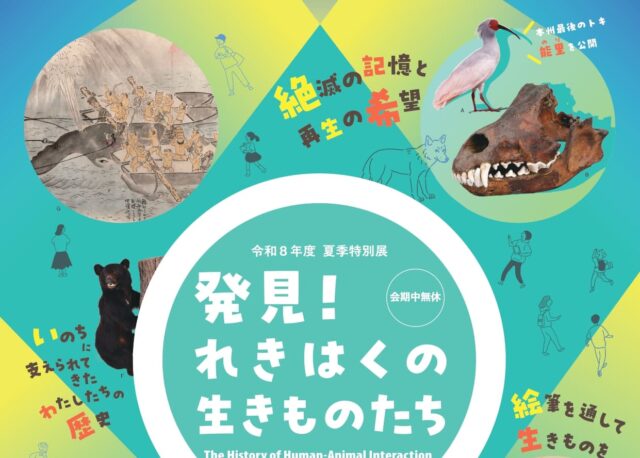 【7/25(土)〜8/30(日)】石川県立歴史博物館で令和8年度夏季特別展「発見！れきはくの生きものたち」を開催。