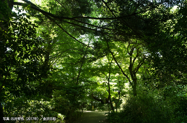 辰巳櫓跡（たつみやぐらあと）