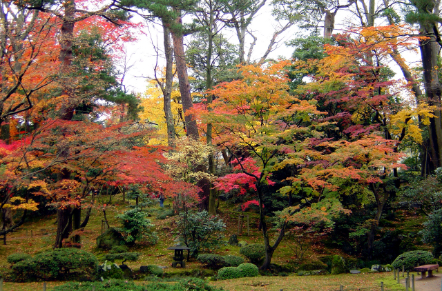 山崎山（やまざきやま）